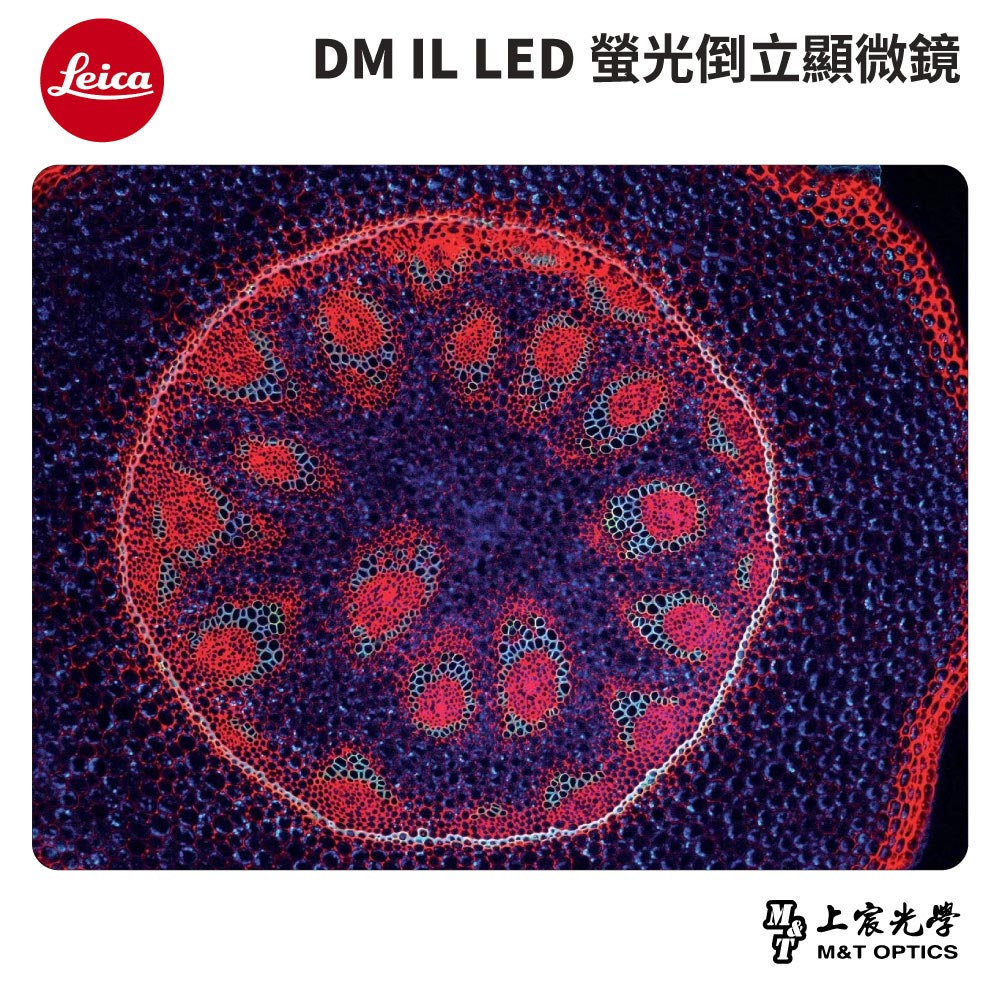 LEICA DM IL LED 螢光倒立顯微鏡