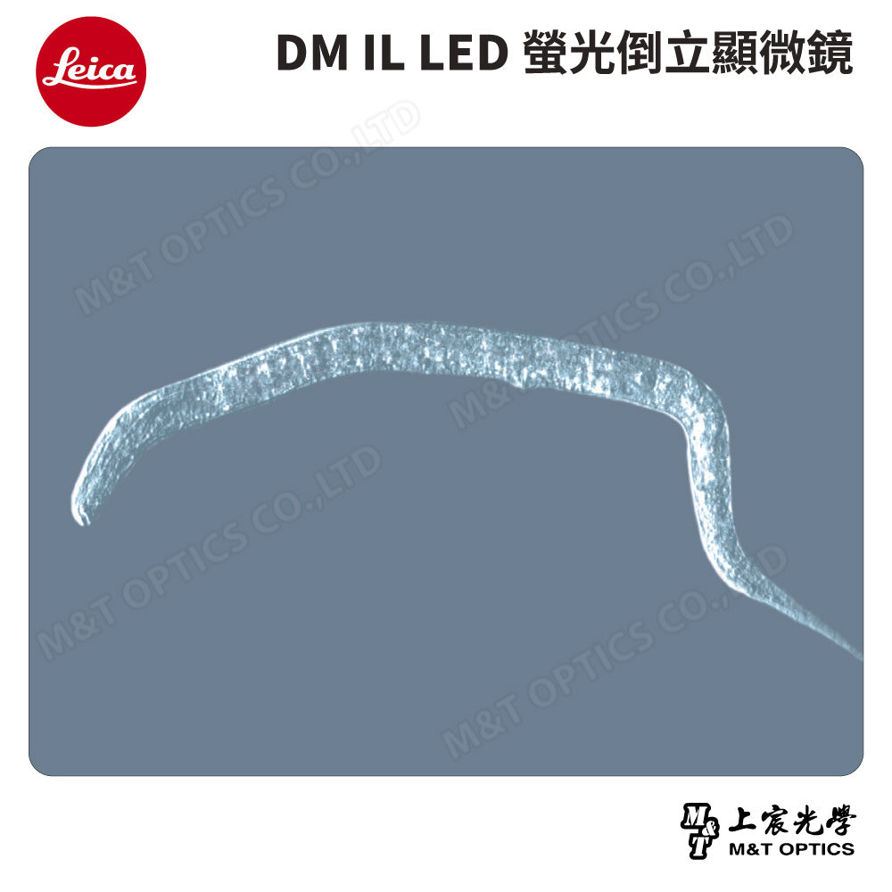 LEICA DM IL LED 螢光倒立顯微鏡
