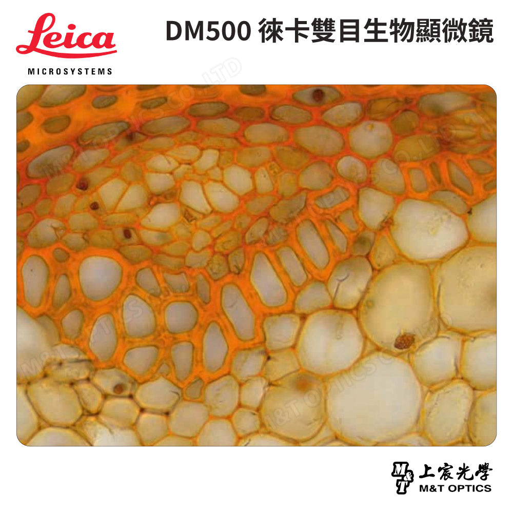 LEICA DM500/DM500T Leica binocular/trinocular biological microscope