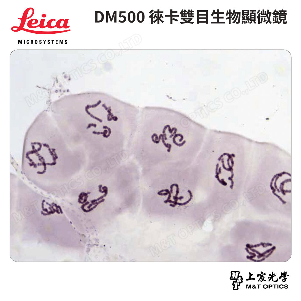 LEICA DM500/DM500T Leica binocular/trinocular biological microscope