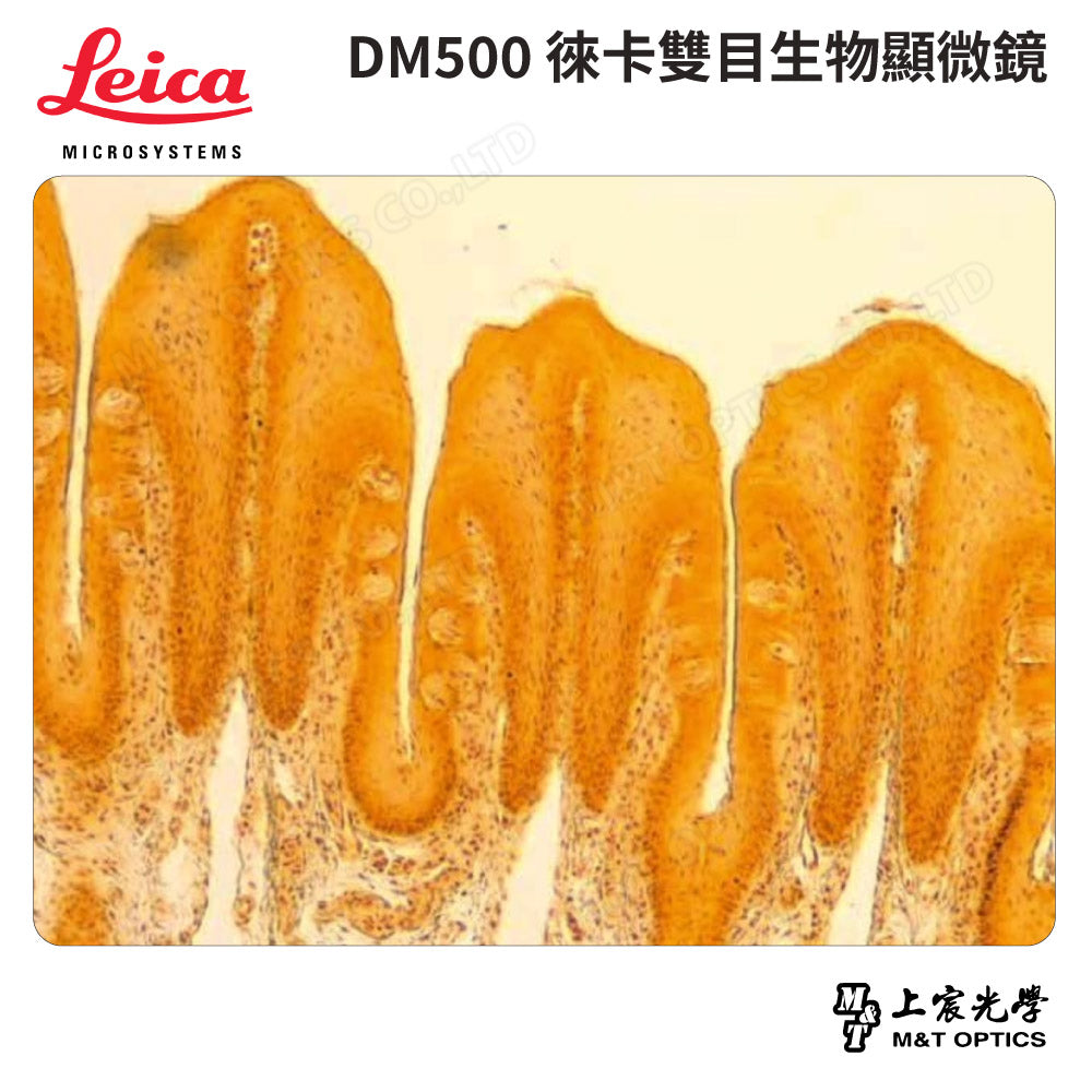 LEICA DM500/DM500T Leica binocular/trinocular biological microscope