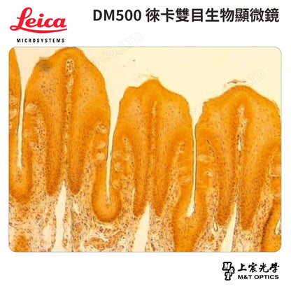 LEICA DM500/DM500T Leica binocular/trinocular biological microscope