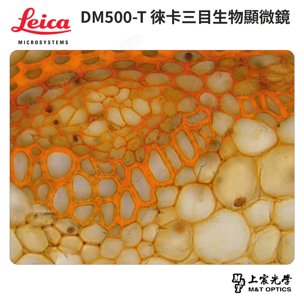 LEICA DM500T 徠卡三目型生物顯微鏡