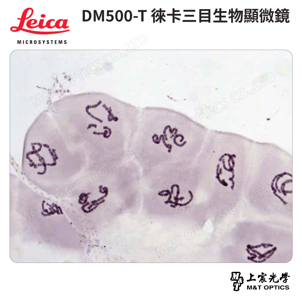 LEICA DM500T 徠卡三目型生物顯微鏡