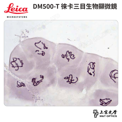 LEICA DM500T 徠卡三目型生物顯微鏡
