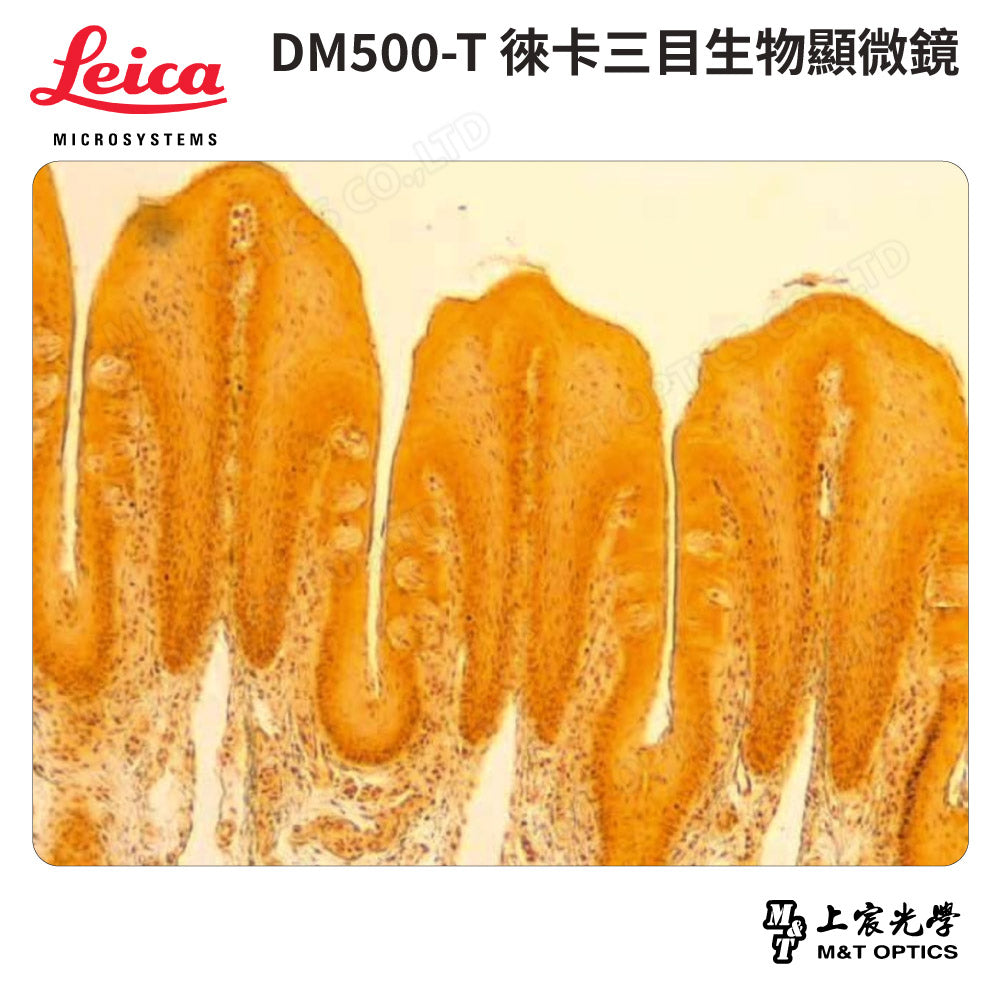 LEICA DM500T 徠卡三目型生物顯微鏡
