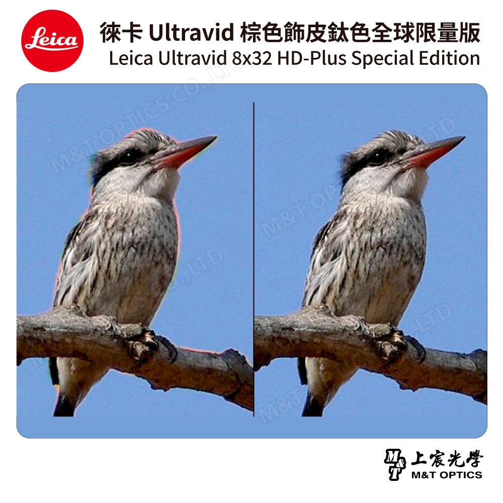 LEICA Ultravid 8x32 HD-Plus 棕色飾皮鈦色特別版「全球限量版」- 總代理公司貨