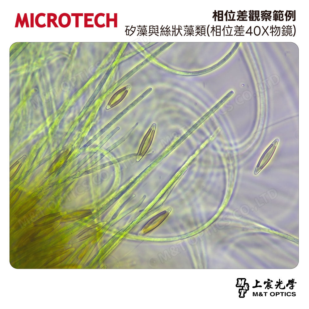 MICROTECH MX53-PHD 金相-相位差顯微鏡