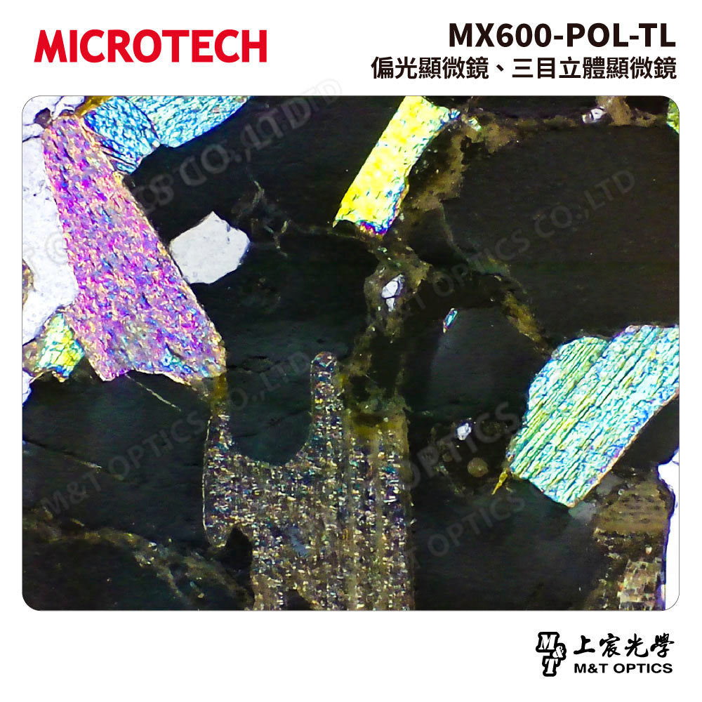 MICROTECH MX600-POL-TL 偏光顯微鏡 三目立體顯微鏡