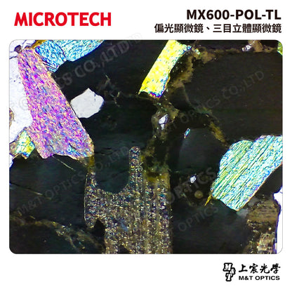 MICROTECH MX600-POL-TL 偏光顯微鏡 三目立體顯微鏡