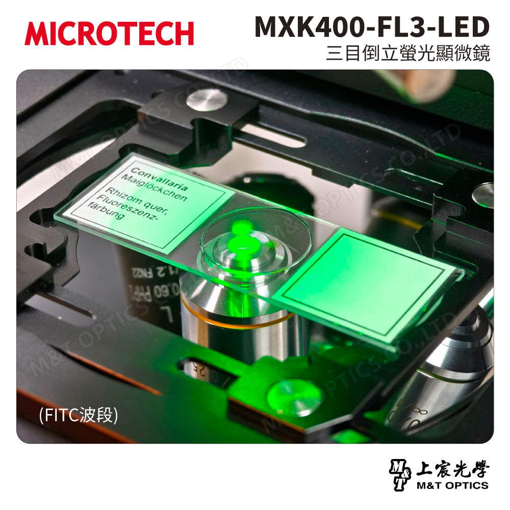 MICROTECH MXK400-FL3-LED 三目倒立螢光顯微鏡
