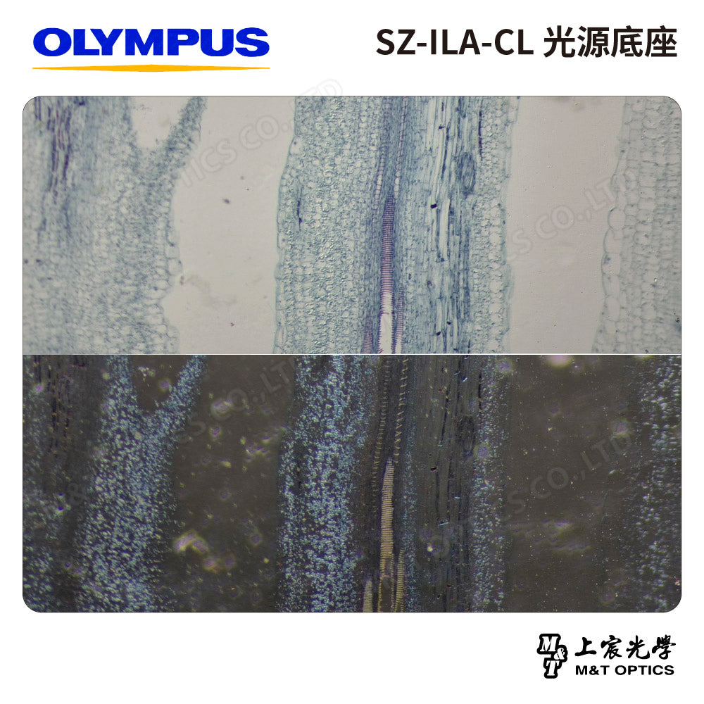 OLYMPUS SZ-ILA-CL 光源底座