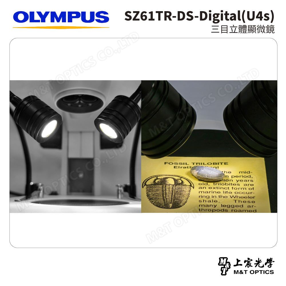 OLYMPUS SZ61TR-DS-Digital(U4s) 三目立體顯微鏡