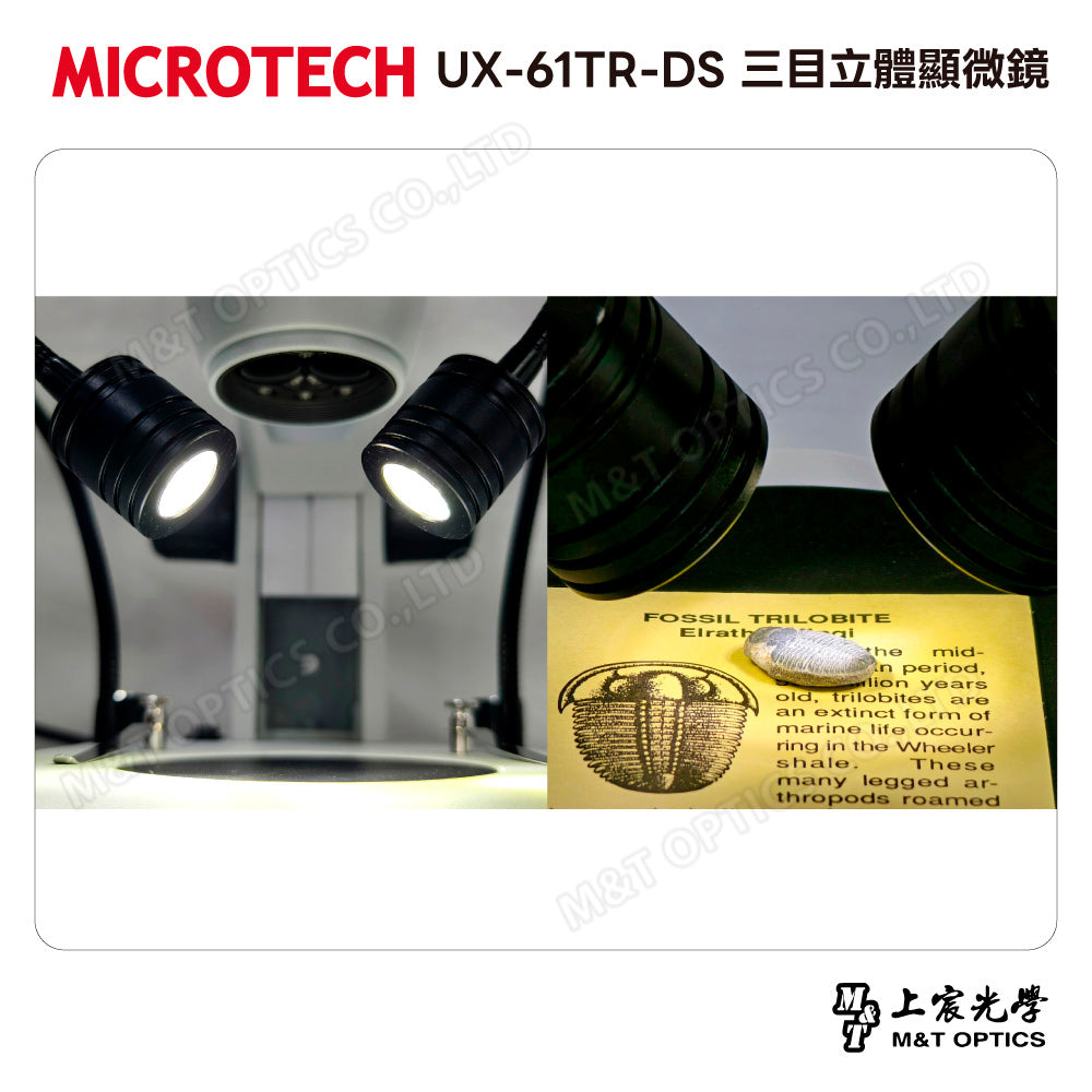 MICROTECH UX-61TR-DS 三目立體顯微鏡