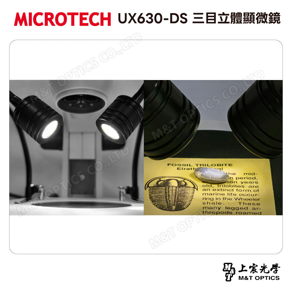 MICROTECH UX630-DS三目立體顯微鏡