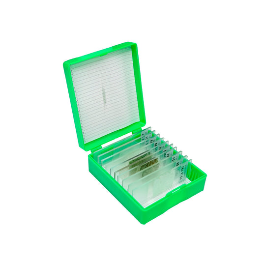 岩石礦物薄片標本(常用10片裝)