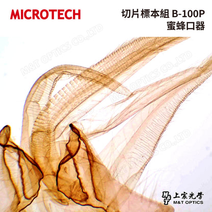MICROTECH 100 pieces-biological biopsy specimen set-with storage box