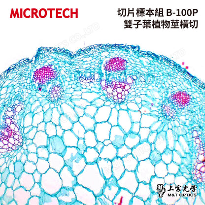 MICROTECH 100 pieces-biological biopsy specimen set-with storage box