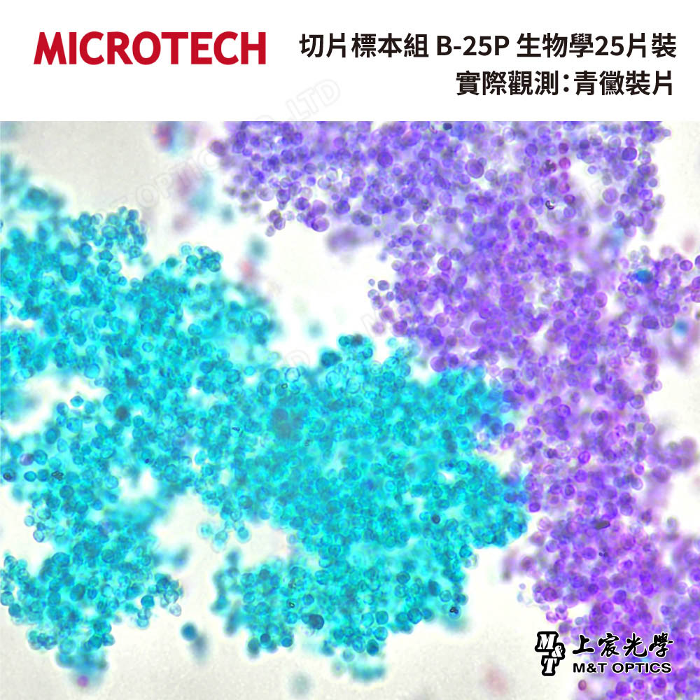 切片標本組 B-25P 生物學25片裝(含收納盒-繁體中文)