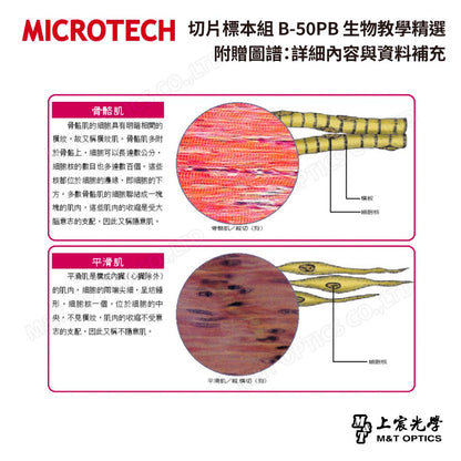 MICROTECH Fine Edition-Cell tissue teaching slide specimens-with illustrations for teaching 