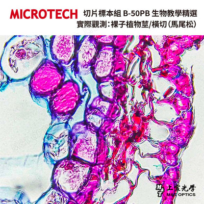 MICROTECH Fine Edition-Cell tissue teaching slide specimens-with illustrations for teaching 
