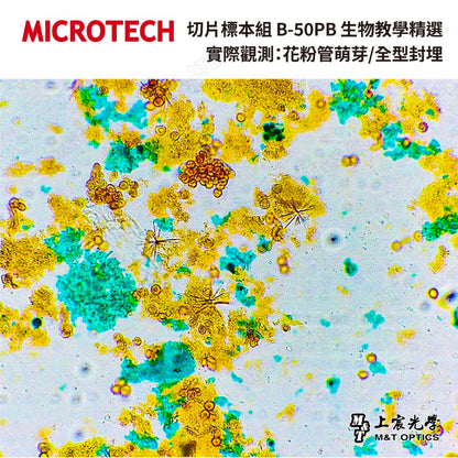MICROTECH Fine Edition-Cell tissue teaching slide specimens-with illustrations for teaching 