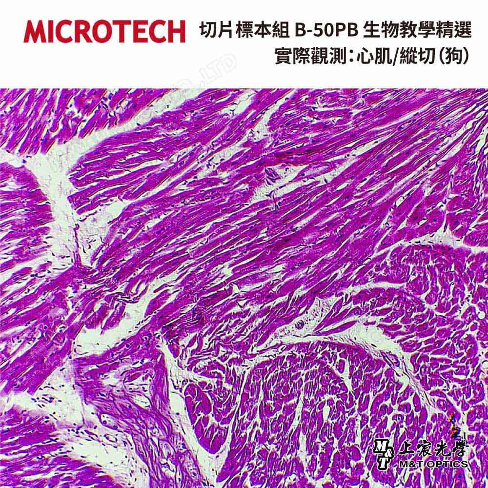 MICROTECH Fine Edition-Cell tissue teaching slide specimens-with illustrations for teaching 