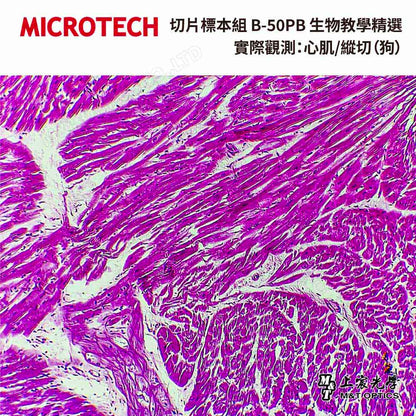 MICROTECH Fine Edition-Cell tissue teaching slide specimens-with illustrations for teaching 