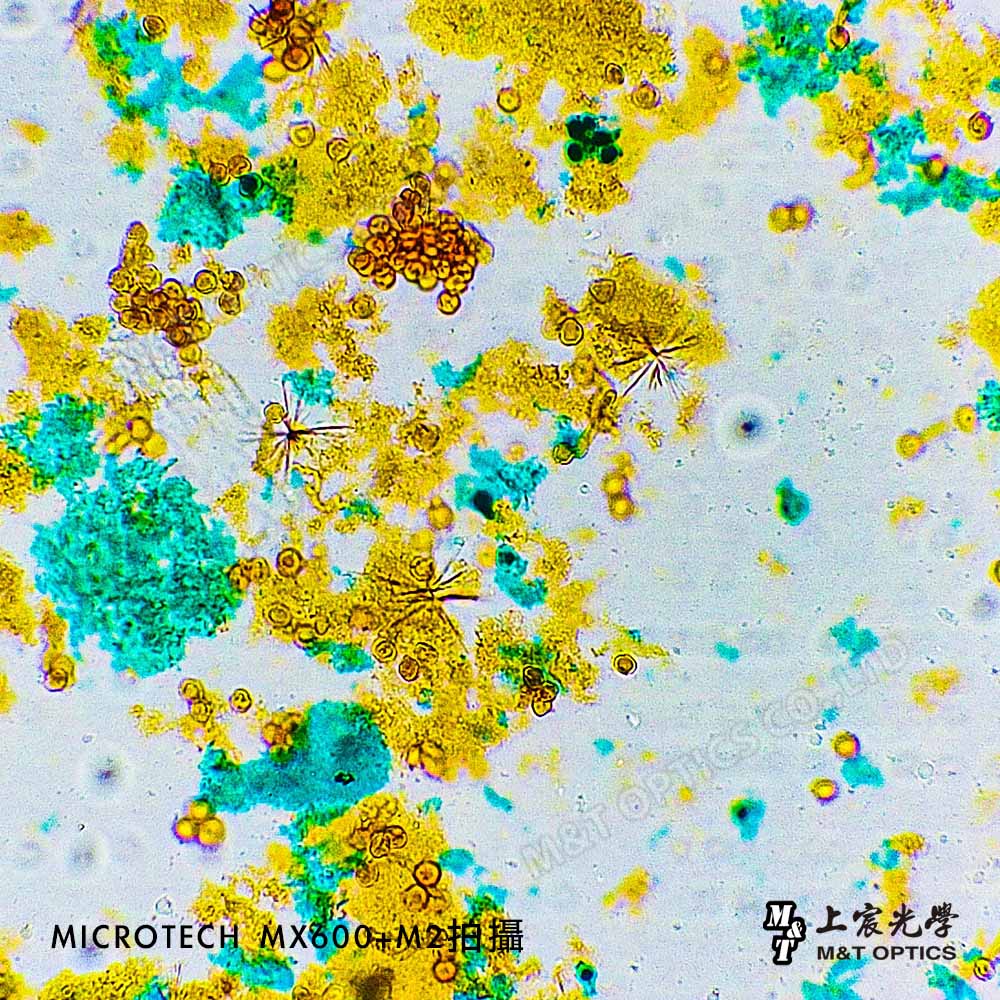 MICROTECH 精細版-細胞組織教學切片標本-附教學用圖譜說明