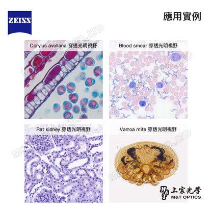 ZEISS AxioCam 208 color 蔡司彩色顯微攝影系統