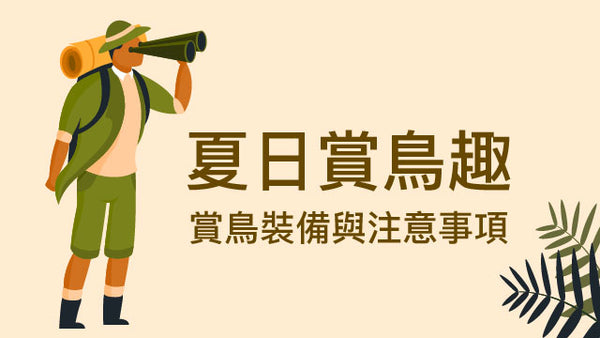 夏日賞鳥趣：賞鳥裝備與注意事項