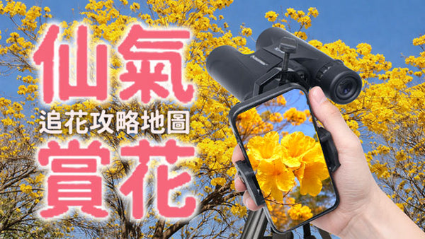 2026 追花攻略