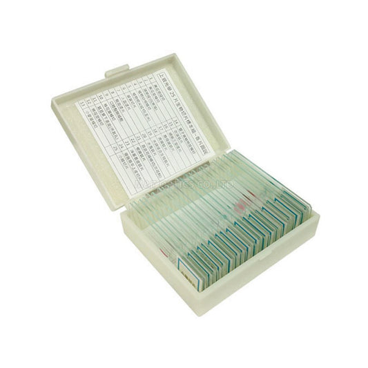 MICROTECH 25片裝-生物切片標本組-附收納盒
