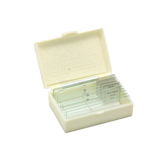 MICROTECH 10片裝-玻璃切片標本組-附收納盒