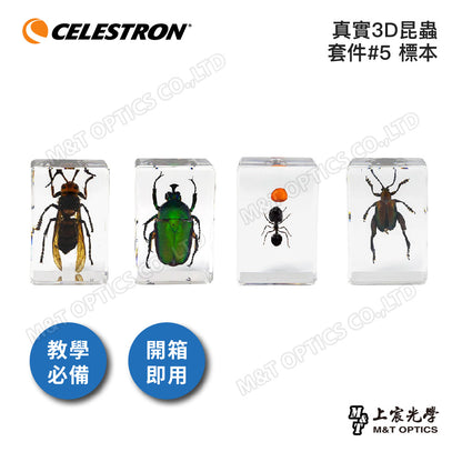 CELESTRON 真實3D昆蟲套件標本 - 上宸光學台灣總代理