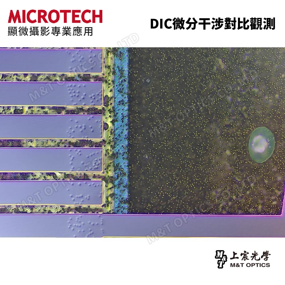 MICROTECH MX58-RF/BD/RF-DIC/BD-DIC 金相顯微鏡-明視野/暗視野/明場DIC/暗場DIC-微分干涉型/原廠保固一年