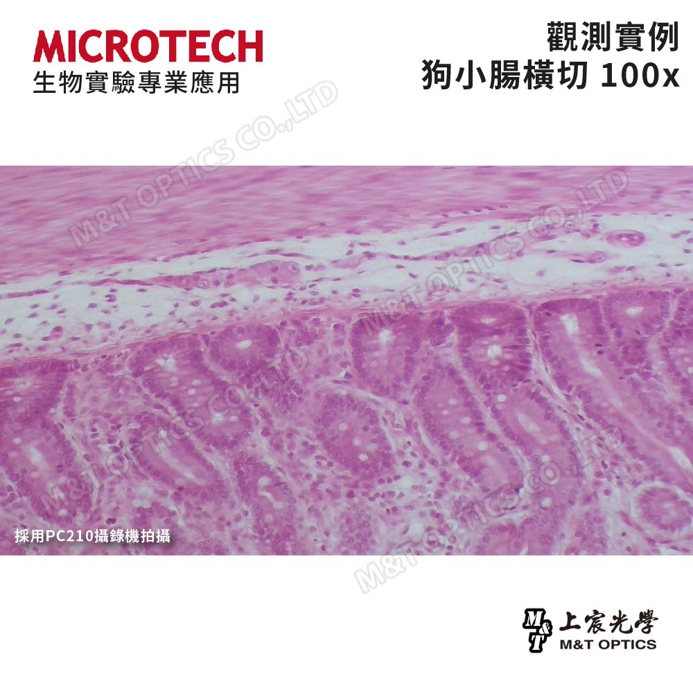 MICROTECH LX130.PAD (Windows介面) 數位生物顯微鏡