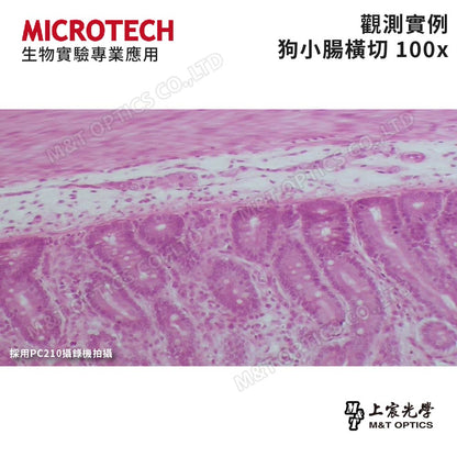 MICROTECH LX130.PAD (Windows介面) 數位生物顯微鏡