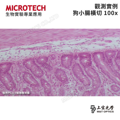 中小學教師等級！MICROTECH LX120 雙目生物顯微鏡