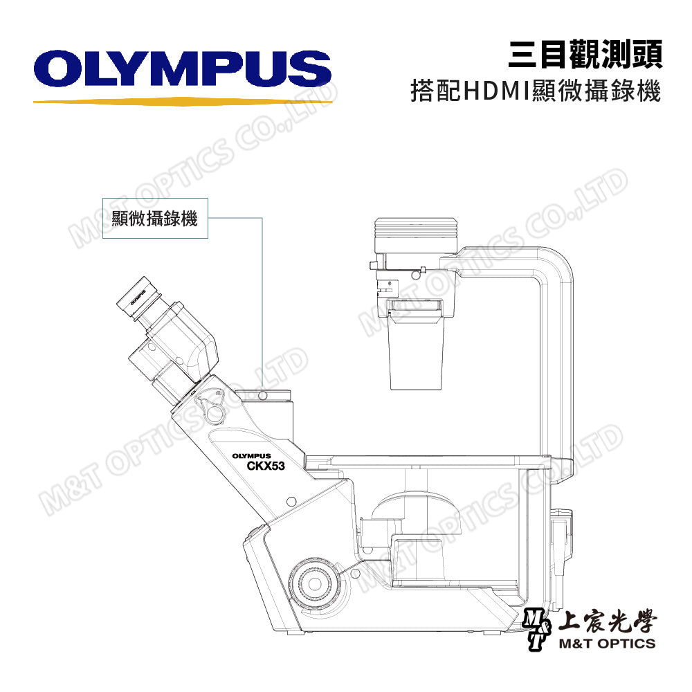 Olympus CKX53 三目型倒立顯微鏡 - 台灣公司貨