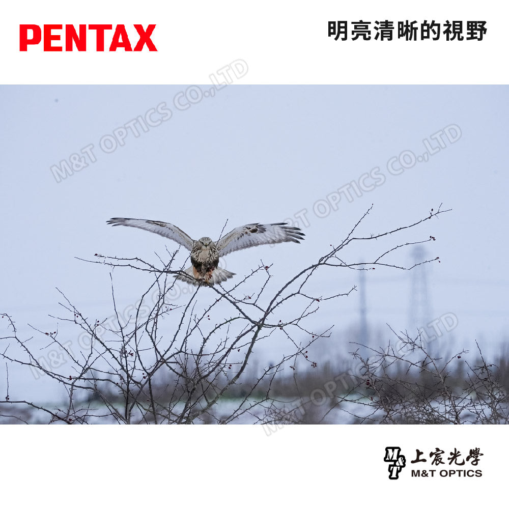 PENTAX 賓得士 JUPITER 8X40 雙筒望遠鏡(台灣總代理公司貨)