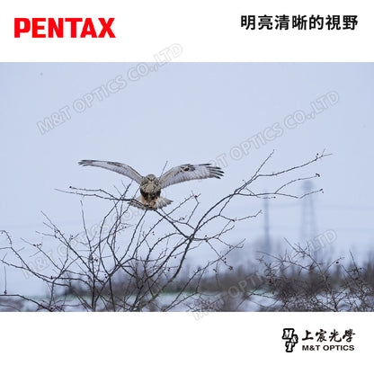 PENTAX 賓得士 JUPITER 8X40 雙筒望遠鏡(台灣總代理公司貨)