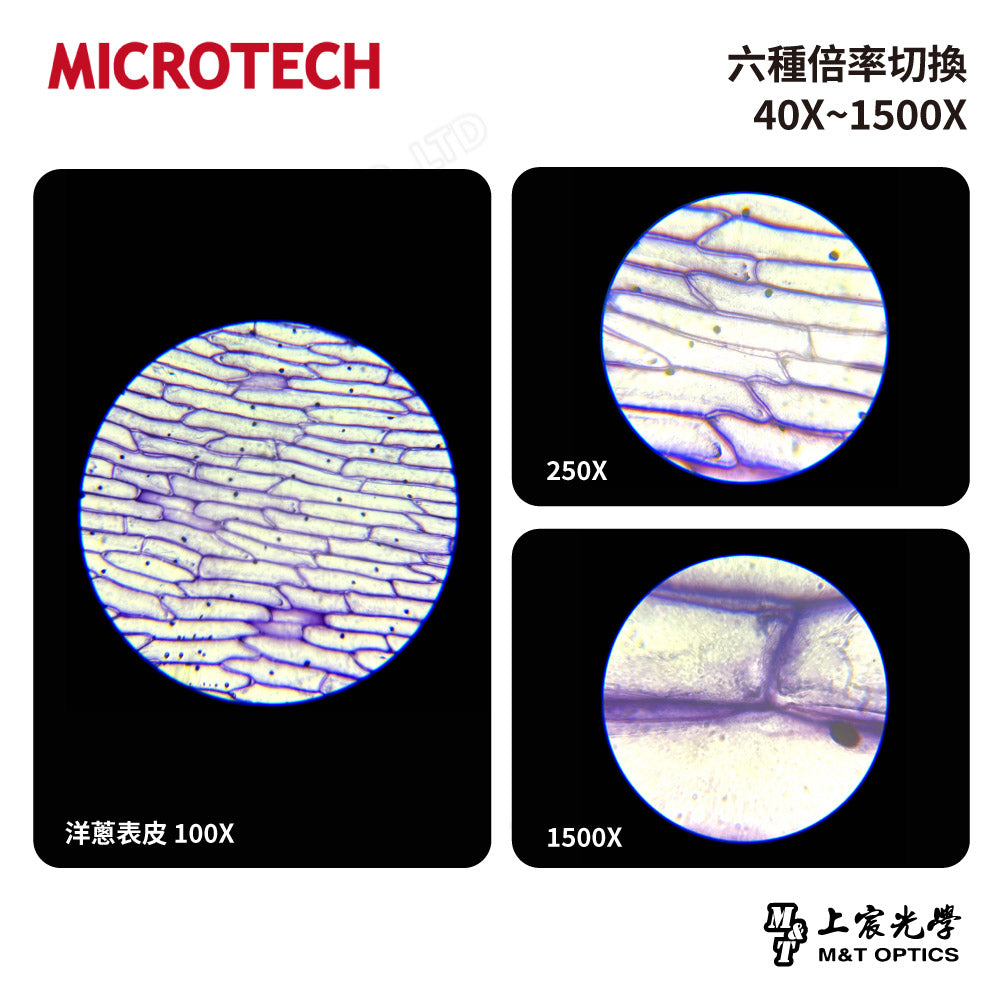 MICROTECH D1500 UPN 多功能學生型生物顯微鏡-兒童顯微鏡-UPN-270.DC 快速手機架座。買再送蓋玻片100片/1盒+載玻片50片/1盒