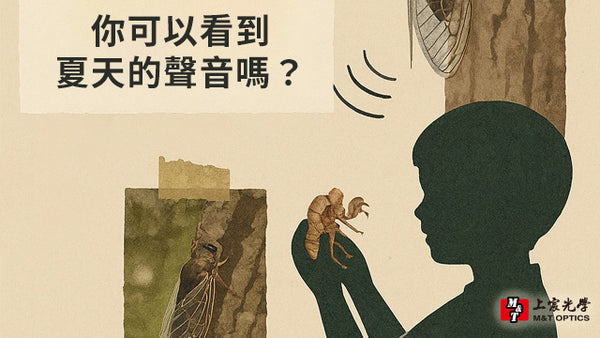 夏季限定聲音圖鑑｜你能看見聲音的證據嗎？