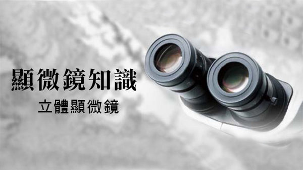 立體顯微鏡是什麼？