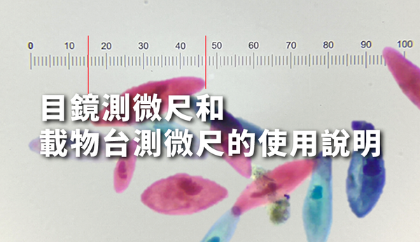 目鏡測微尺和載物台測微尺的使用說明